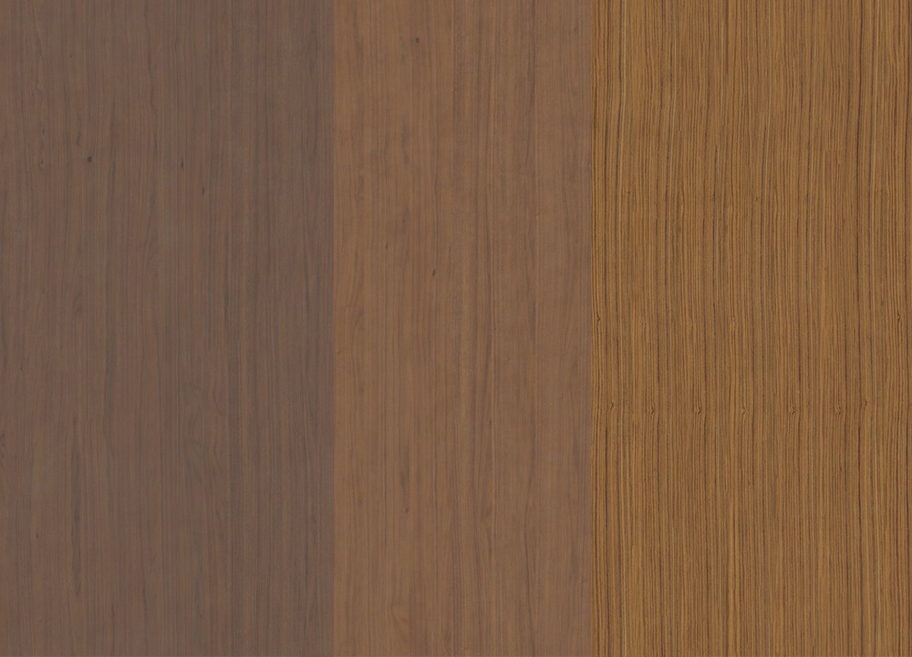 Wood Veneer Color Board